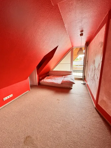 Zimmer DG