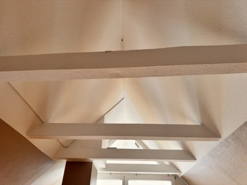 Dachbalkendecke Studio