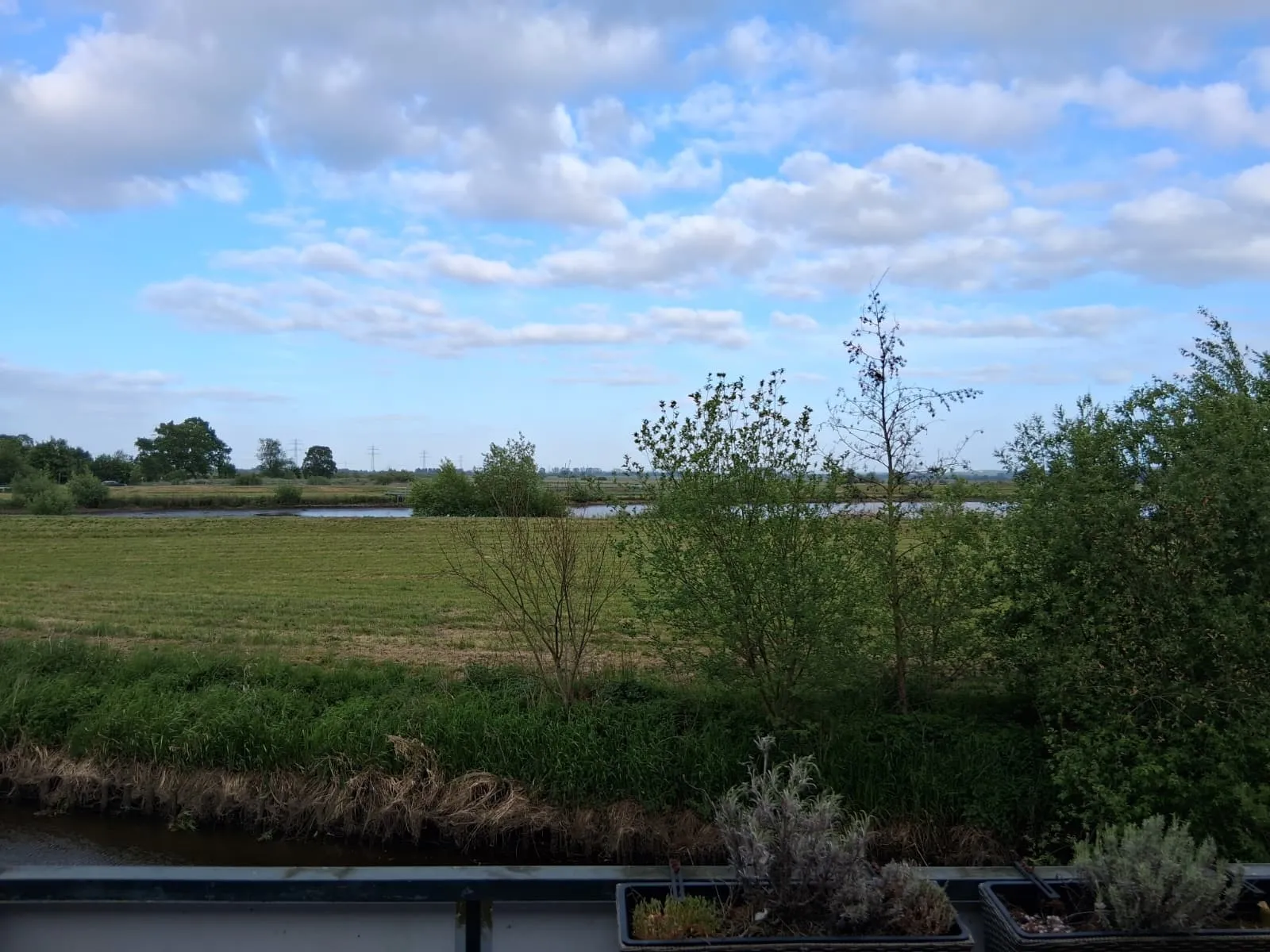 Blick in die Natur