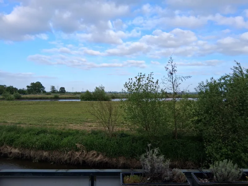 Blick in die Natur
